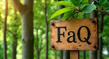 Die 5 meistgestellten Fragen (FAQ) zu Baumfällung