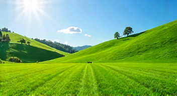 Die 5 meistgestellten Fragen (FAQ) zu Rasenpflege