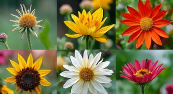 Die 6 häufigsten Fehler bei Wintertrockenheit