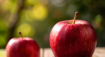 Die Bedeutung des Apfels für unsere Kultur (1/10)