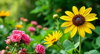 Die besten 8 Tipps bei der Gartenpflege