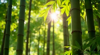 Die musikalische Inspiration von Bambus (10/10)