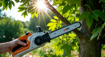 Meine Erfahrungen mit der Akku-Astschere STIHL ASA 140 (1/10)