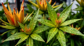 Meine Erinnerungen an die Pflanzenmesse 2026 (1/10)