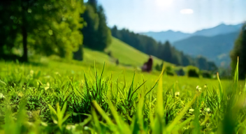 Meine Erinnerungen an die Rasenpflege mit Technik und Leidenschaft (1/10)