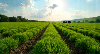 Ökonomische Perspektiven auf den Multifarmer: Effizienz und Nachhaltigkeit (6/10)