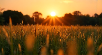 Politische Dimensionen der Bambus-Nutzung (9/10)
