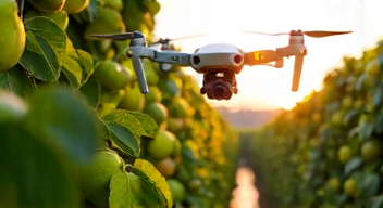 Technologische Innovationen im Obstbau (4/10)